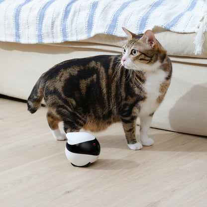 Smart Pet Monitoring Robot: Keep an Eye on Your Dogs and Cats Anywhere