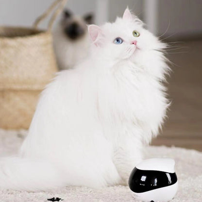 Smart Pet Monitoring Robot: Keep an Eye on Your Dogs and Cats Anywhere