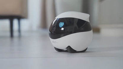 Smart Pet Monitoring Robot: Keep an Eye on Your Dogs and Cats Anywhere